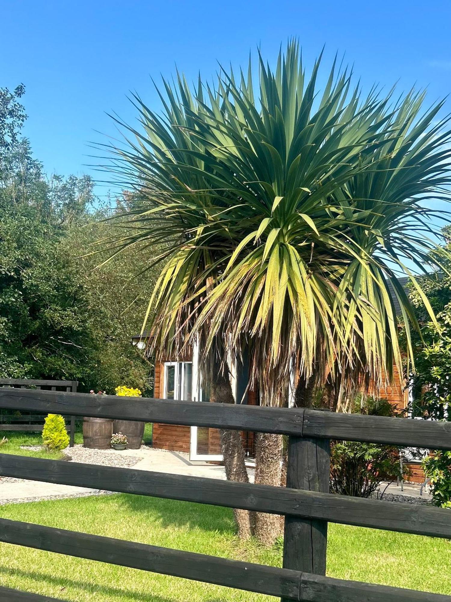 Omagh Villa Sixmilecross Exterior photo